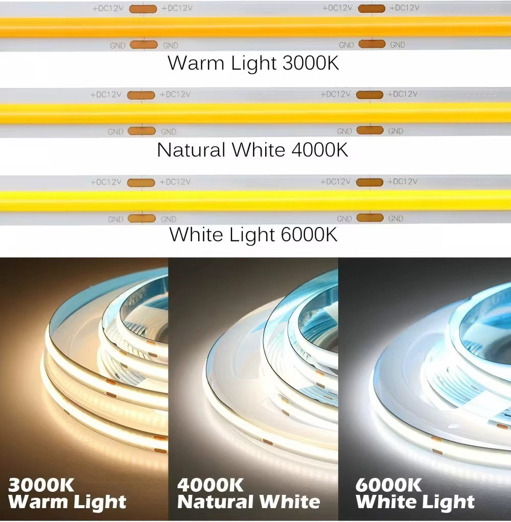 NEXLED COB LED Strip Light — 8W/M, 24V, 840lm/m, Multi IP Rating, 5M Roll (UL Listed)